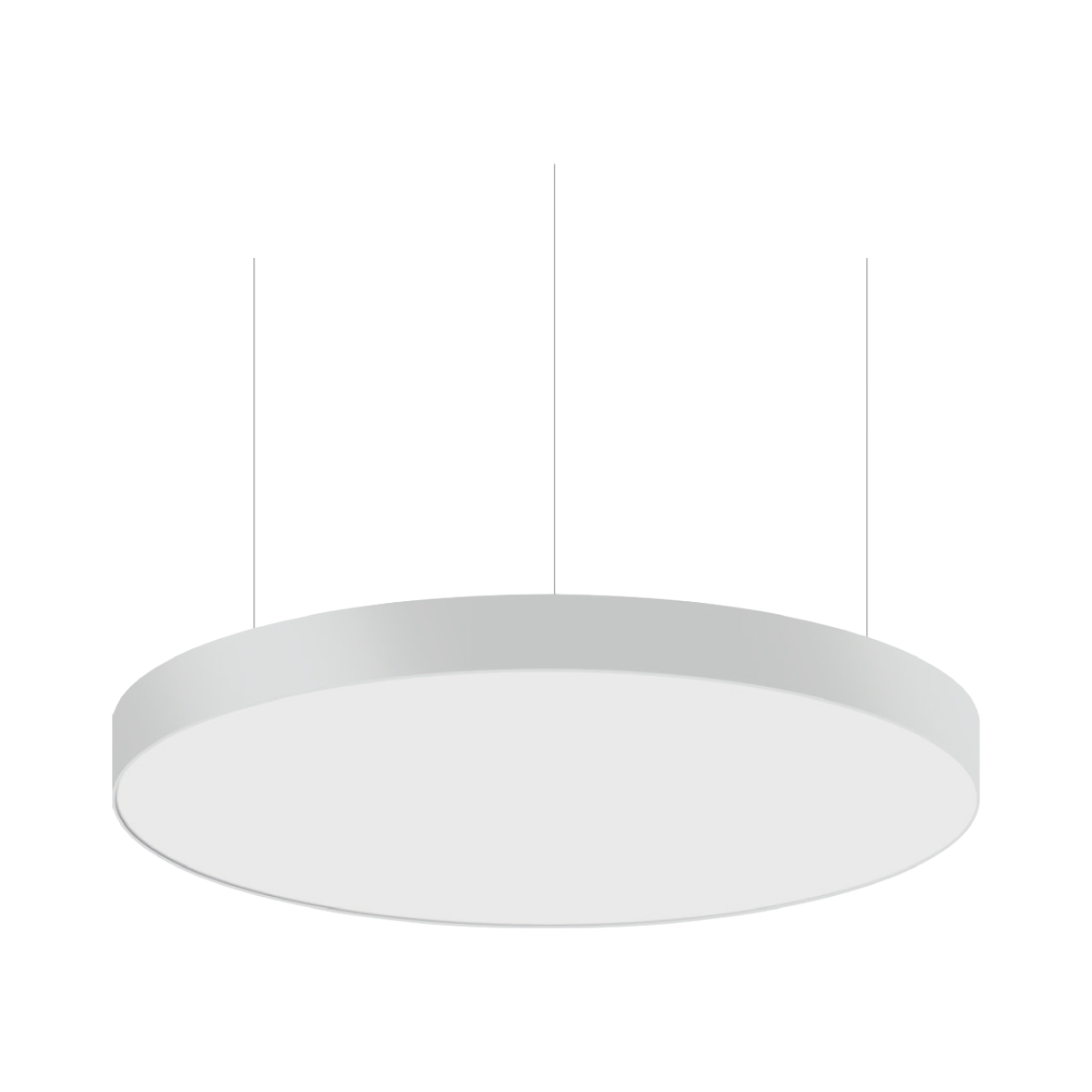 Globy