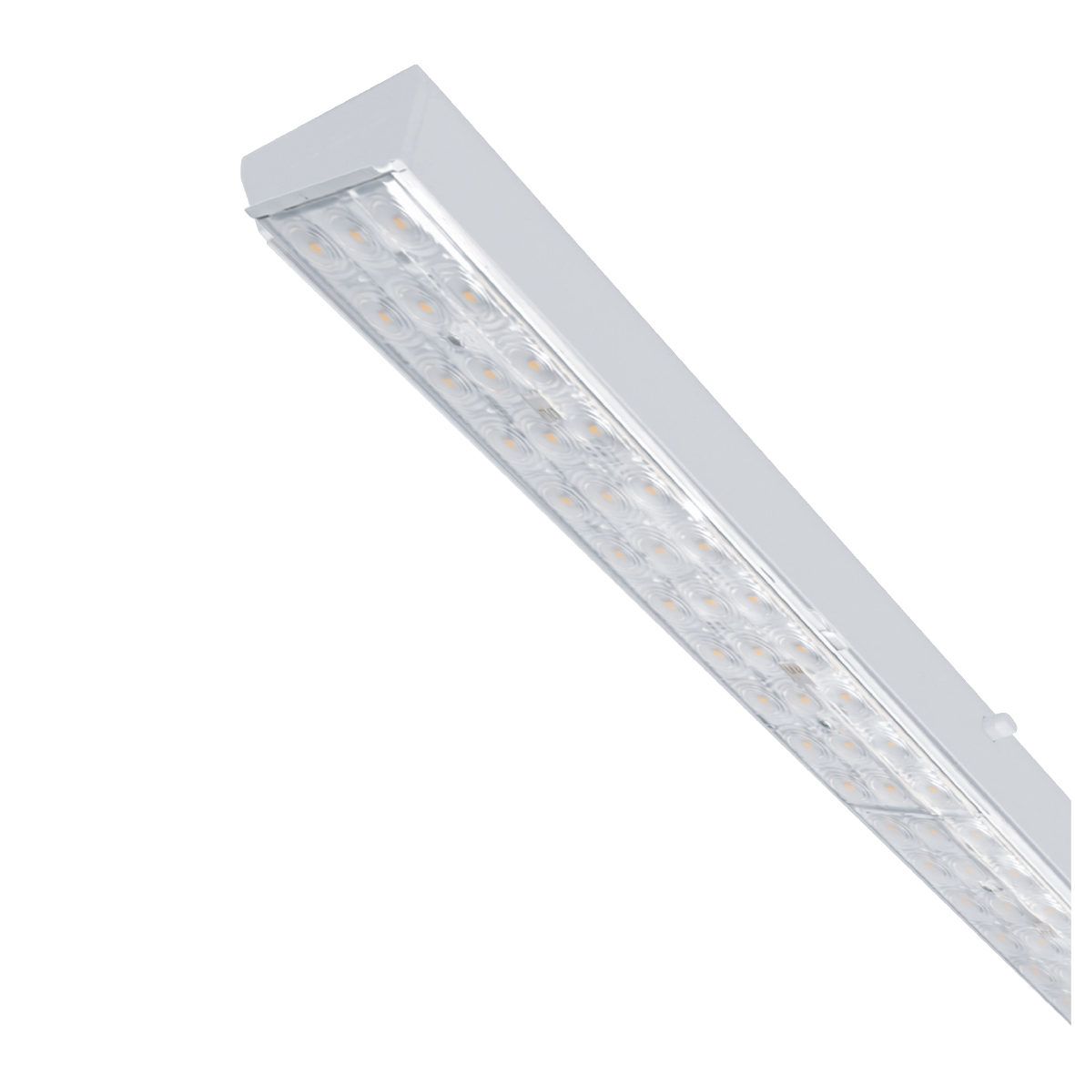 LN5460173-XXXP406170