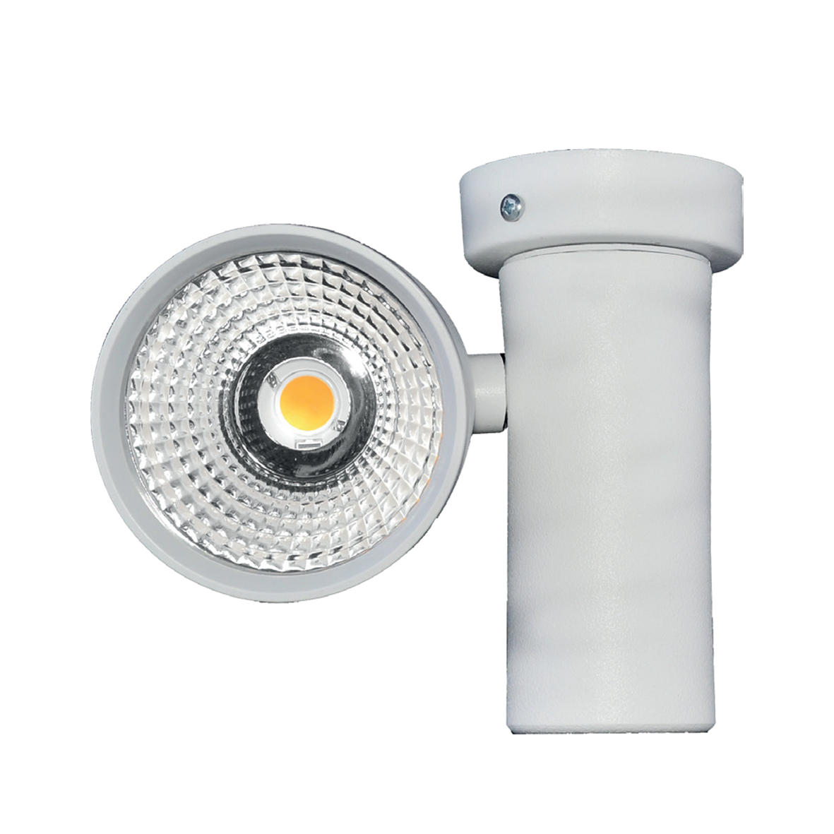 SP1600120-XXXP30N