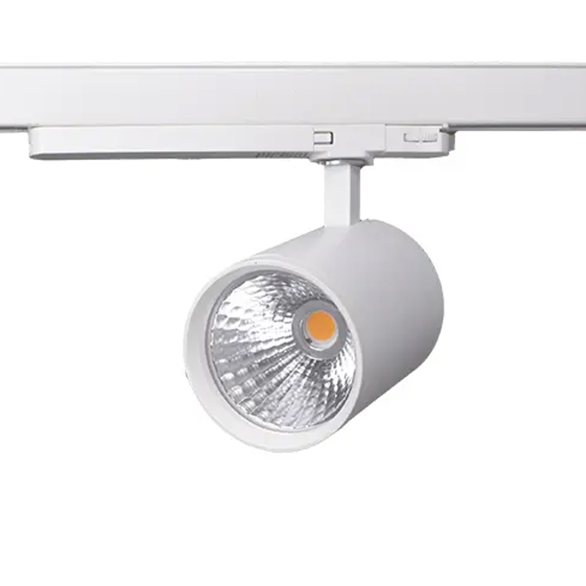 SP3000132-XXXP40W